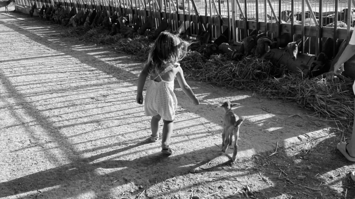 Juntos Farm Santa Gertrudis Ibiza